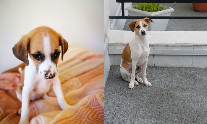Néo Then And Now (Less Than 2 Months And Almost 5 Months)