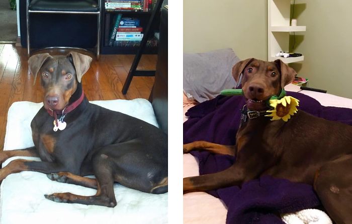 Adoption Day And 3 Years Later