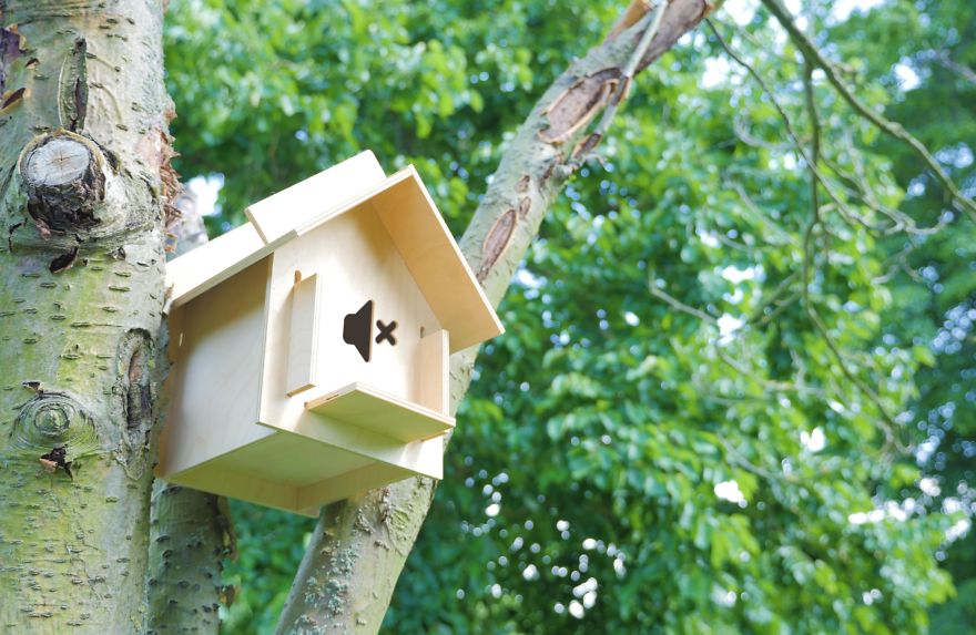Soundproof Birdhouses That Will Finally Give Birds A Rest