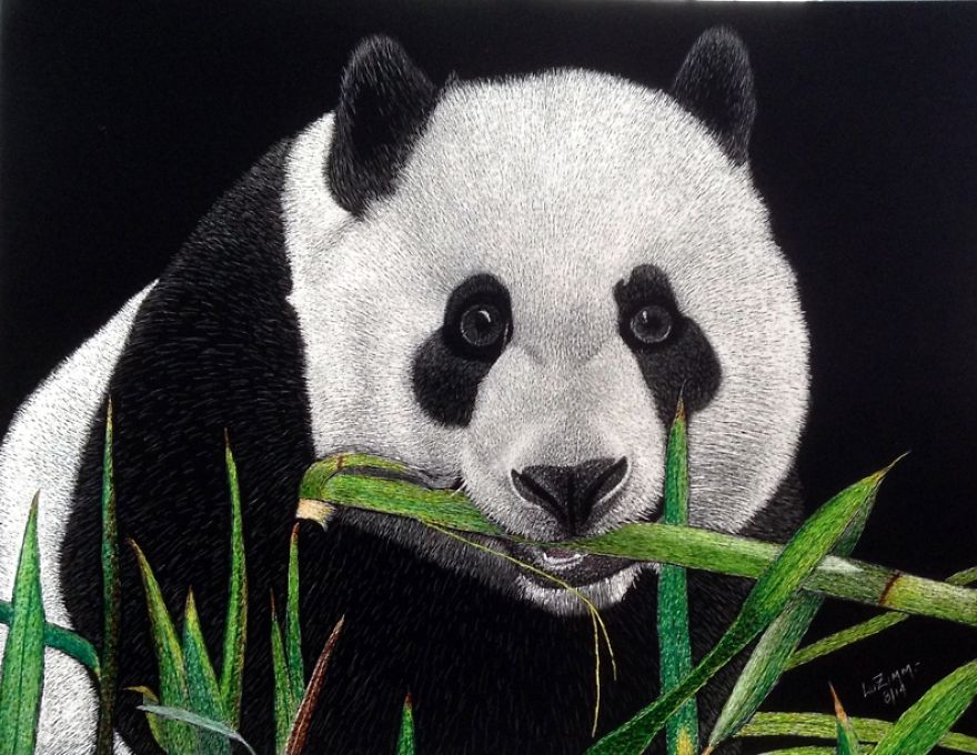 A Panda - China's Own Plain And Beautiful In Black And White Only! - Www.luzimmscratchart.com
