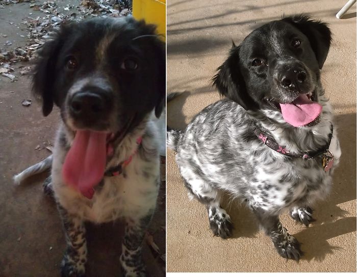 4+ Years And She Still Has The Same Goofy Smile