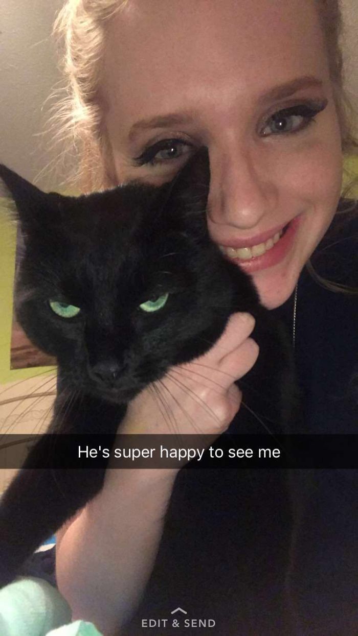 Proof Black Cats Are Not Bad Luck