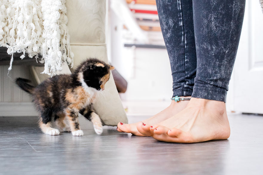 The Newborn Kitten Photoshoot I Did With A Rescue Kitten That Rescued My Sister!