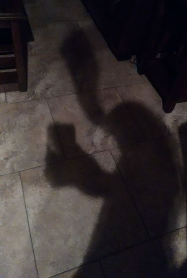My Shadow Looked Like An Alien