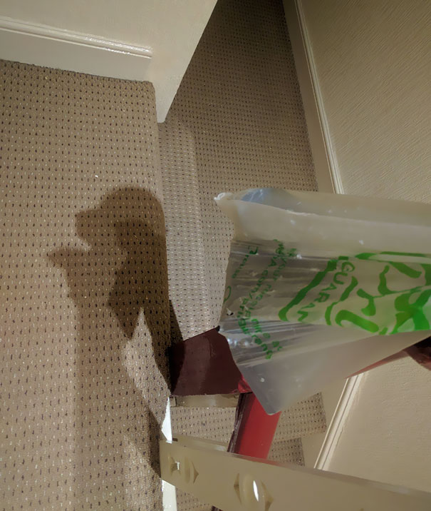 This Carrier Bag's Shadow Looks Like A Puppy Sitting Up