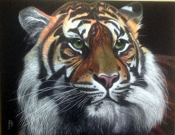 To Scratch This Bengal Took Me A While But It Was Worth My Time, Don't You Agree? - Www.luzimmscratchart.com