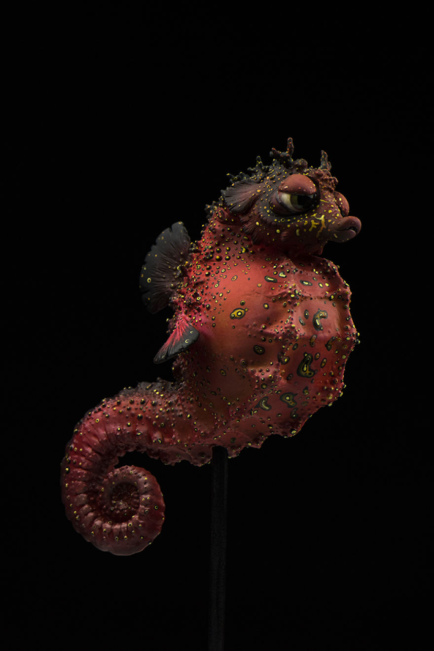 Red Bored Seahorse