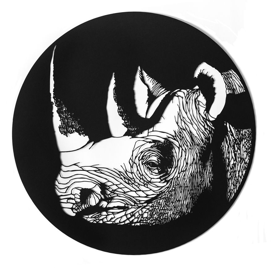 Western Black Rhino (Extinct)