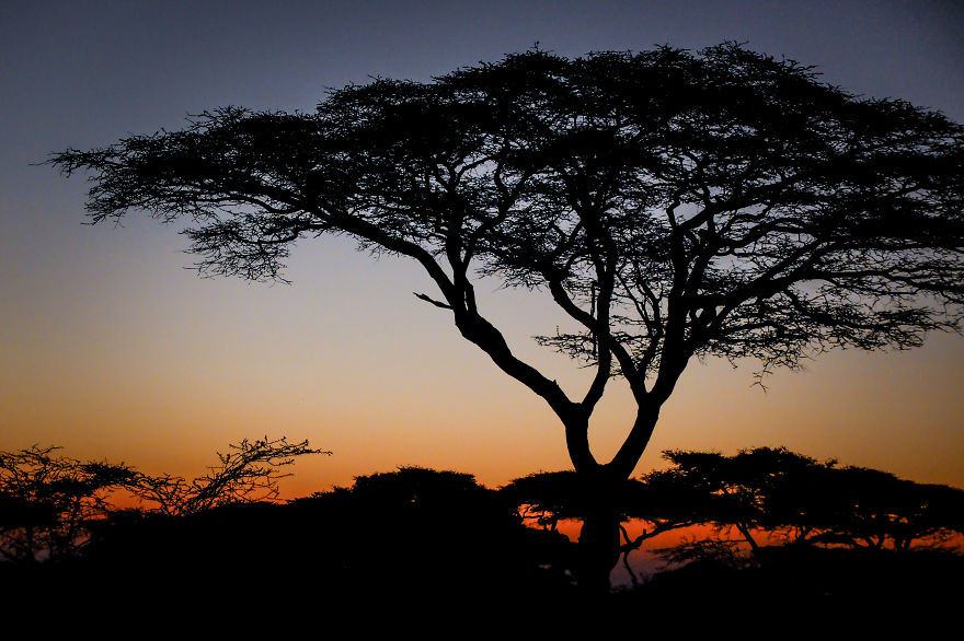 You Can't Miss Your Pictures In Tanzania