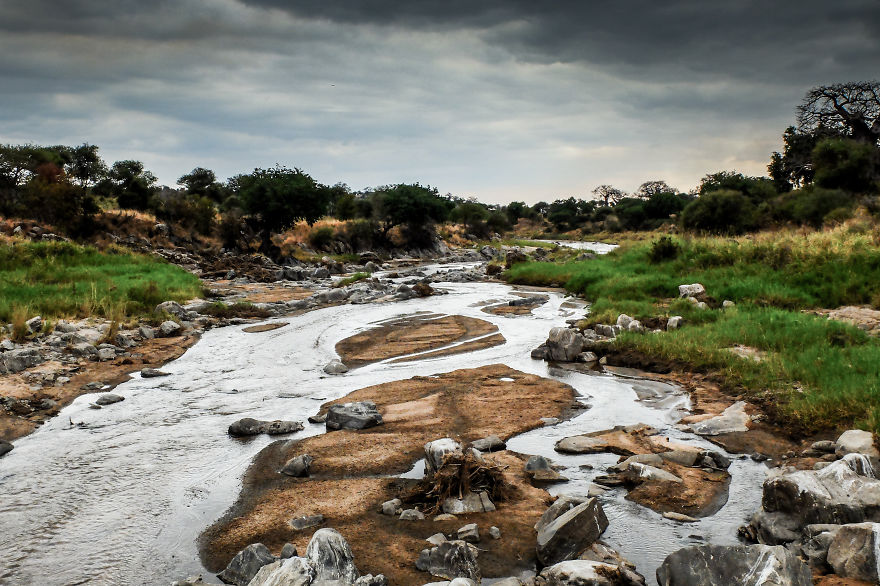 You Can't Miss Your Pictures In Tanzania