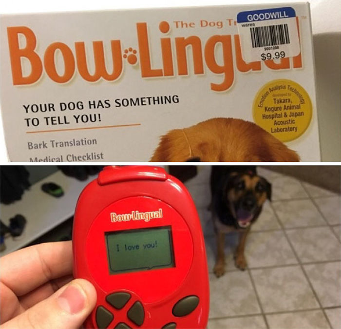 BowLingual device found in a thrift store, translating dog barks to "I love you" for $9.99.