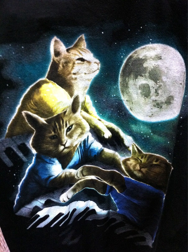 I Went To A Thrift Mall And Found A Keyboard Cat Shirt