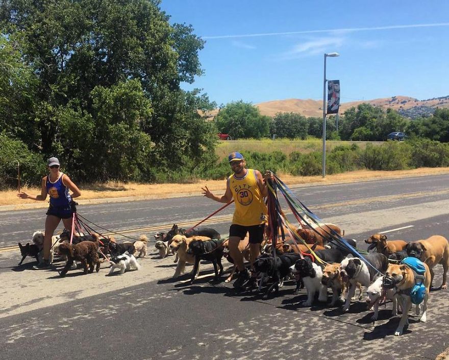Meet The Animal Lover Couple And Their Super Canine Club Meet The Animal Lover Couple And Their Super Canine Club