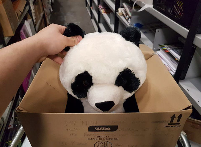 Boy Leaves Heartbreaking Note On Toy Panda Because His Mom Couldn’t Afford It