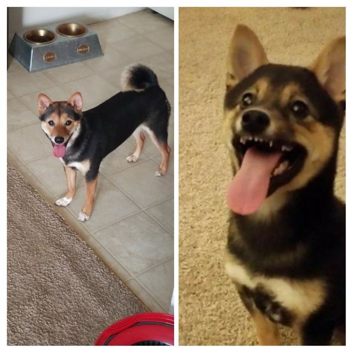 My Happy Baby Princess At 12 Weeks And 12 Months.