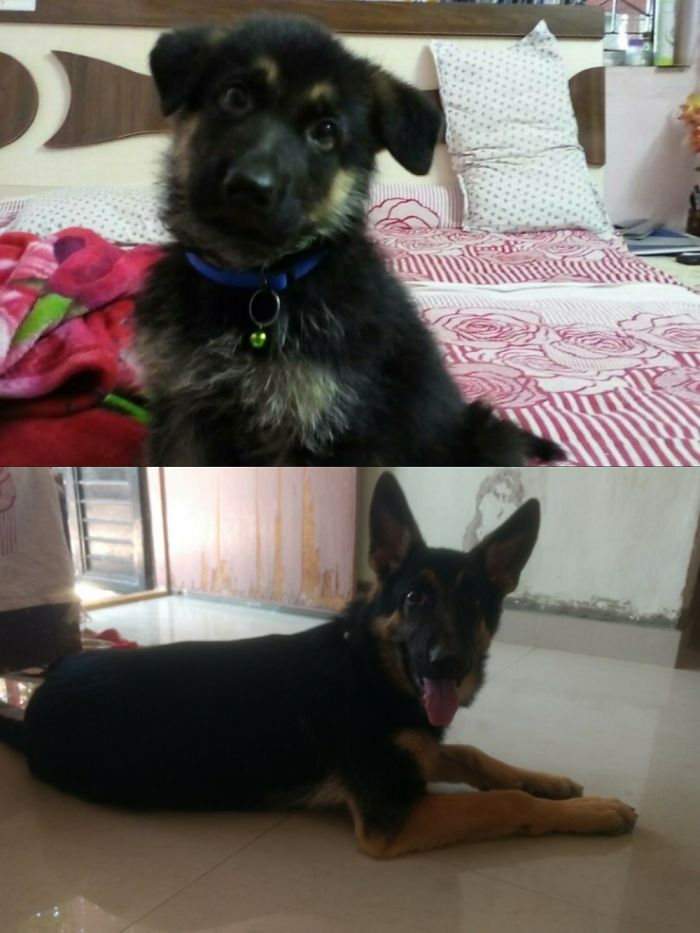 Sandy From 45 Days To 6 Month