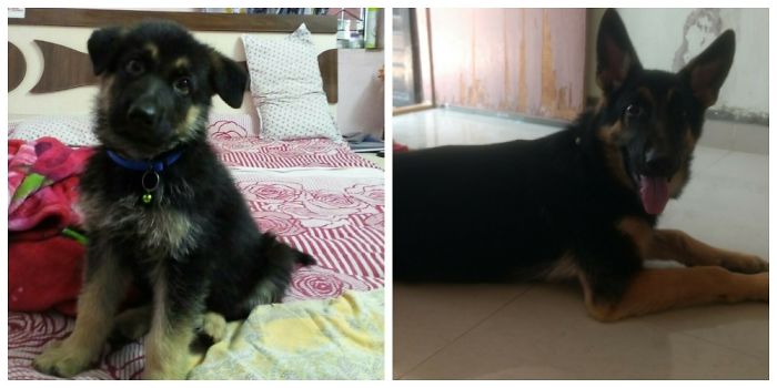 Sandy From 45 Days To 6 Months