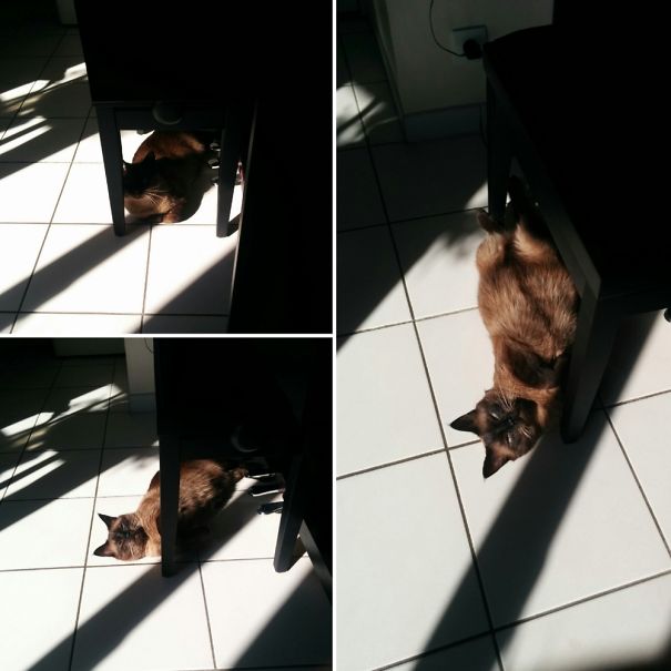 The Stages Of Finding The Sun