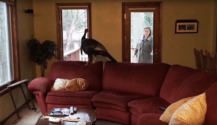 Couple Returns Home From Vacation, And Finds Unexpected Guest Inside
