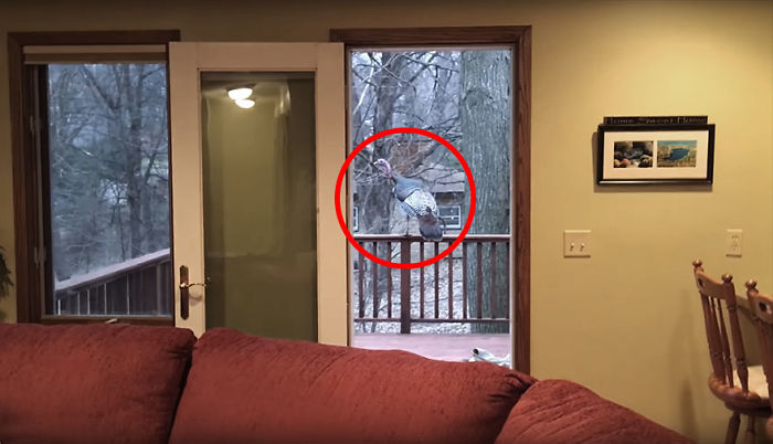 Couple Returns Home From Vacation, And Finds Unexpected Guest Inside