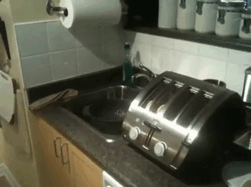 This Toaster Design