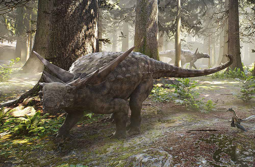 Dinossauro-nodossauro-fóssil-descoberta-8