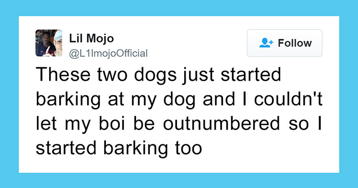 60 Funny Dog Tweets That Are Too Relatable