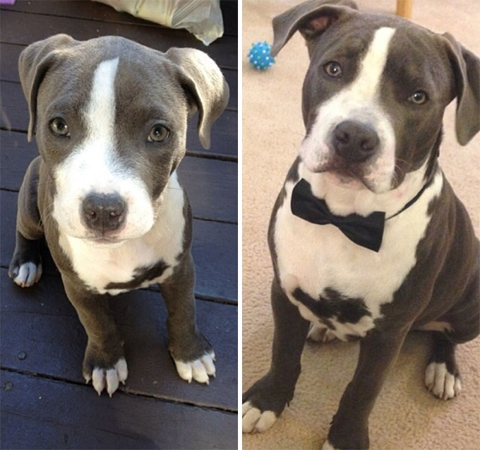 My Little Man, Then & Now