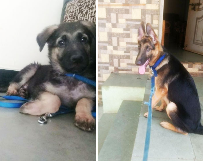 Shadow From 40 Days To 6 Months