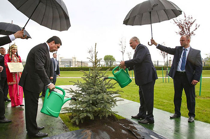 Belarus President Alexander Lukashenko Watering Trees In The Rain