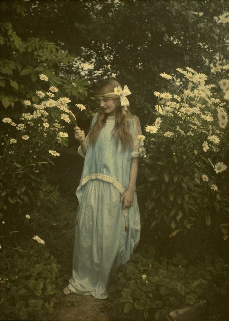 Young Girl Amidst Marguerites, C. 1912