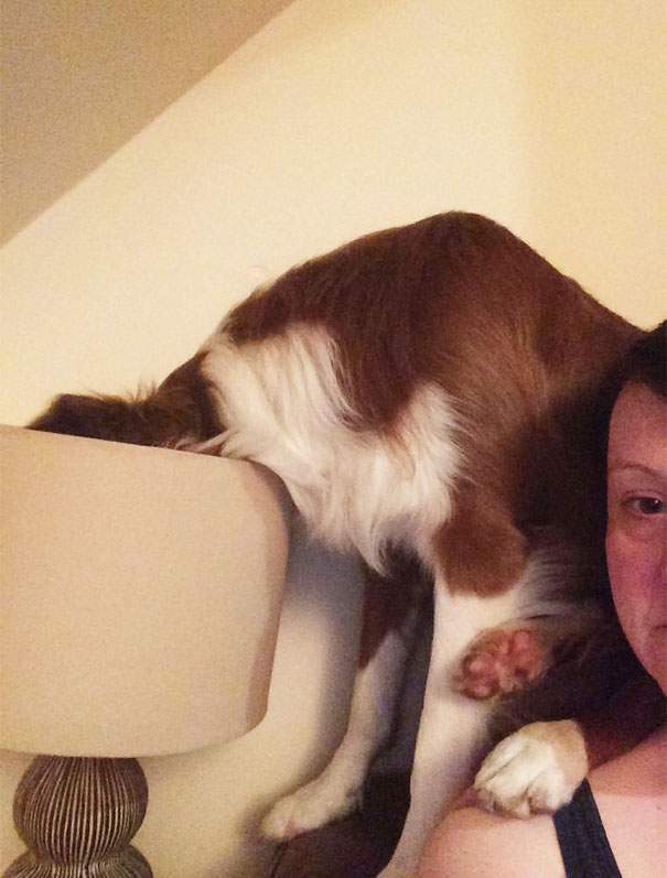 Bob In His Typical Resting Position, Sitting On My Shoulder With His Head In The Lamp