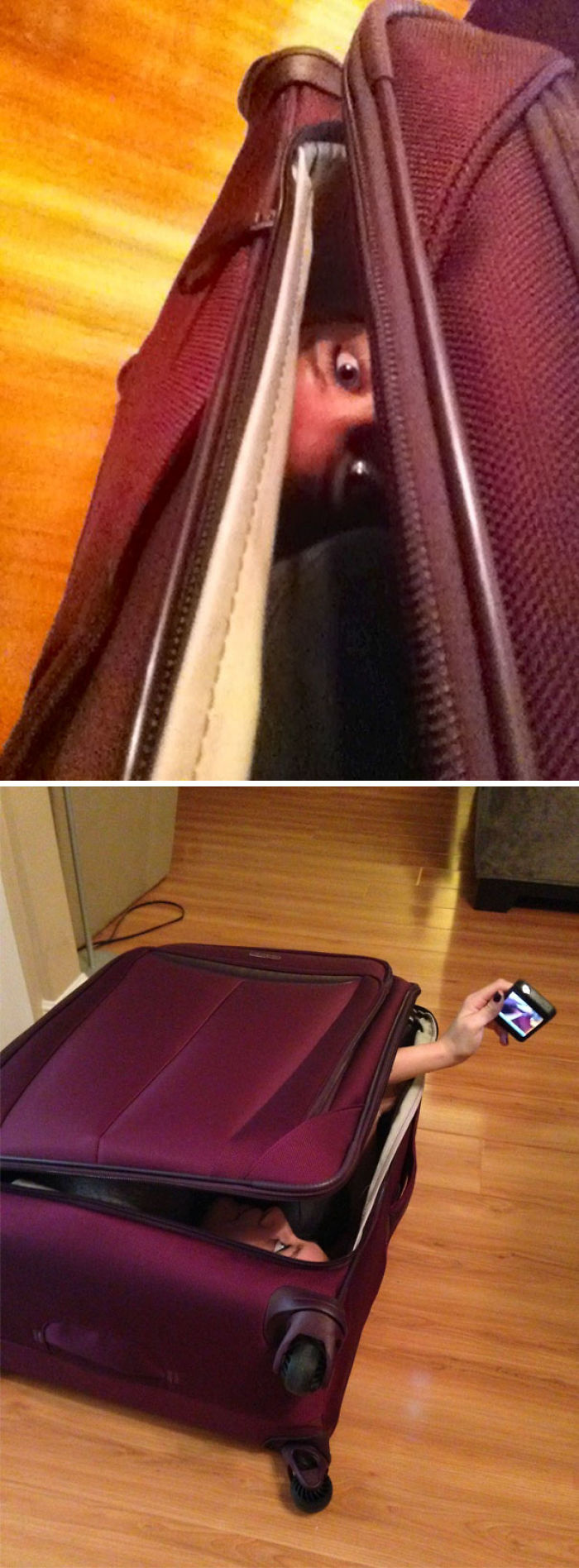 My Husband Challenged Me To See If I Could Fit In My New Suitcase... I Sent Him This Response