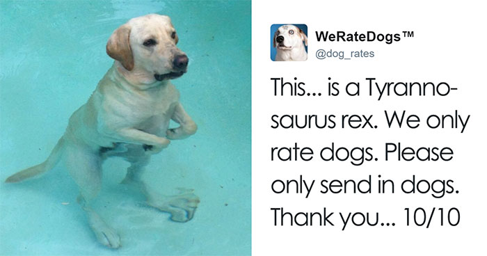 41 Times People Failed To Send Dog Pics To ‘We Rate Dogs’ Twitter