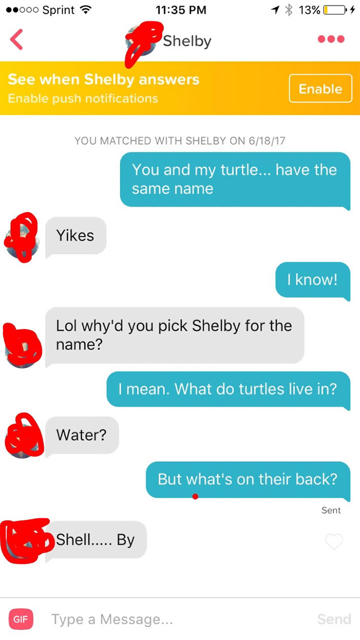 What's In A Turtle's Name?