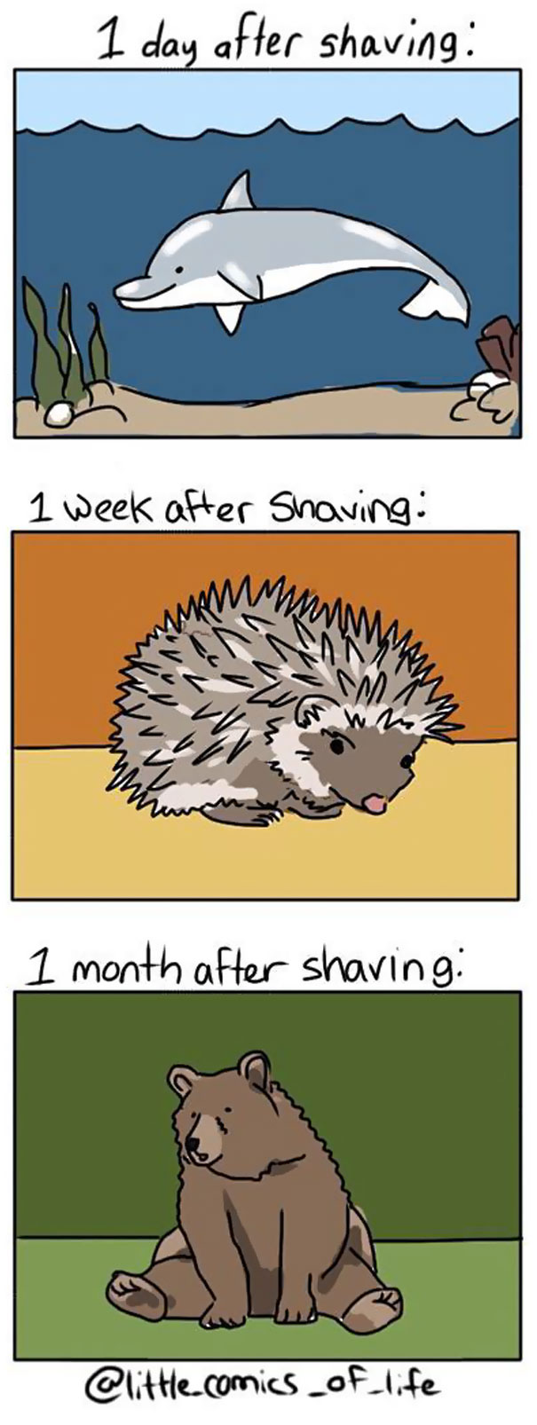 Funny Shaving Comic