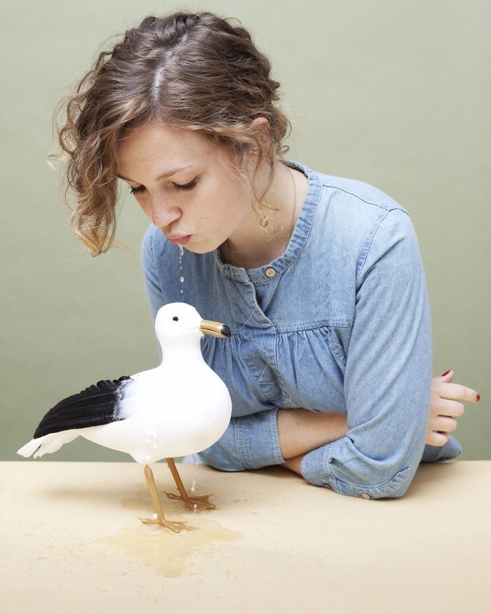 In Virginia, Spitting On A Seagull Is Punishable By A Fine