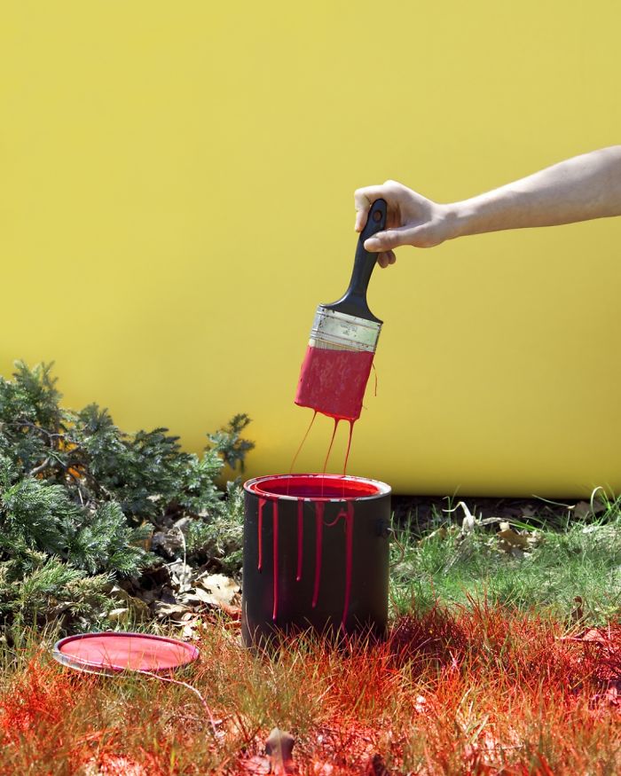 In Kentucky It's Illegal To Paint Your Lawn Red