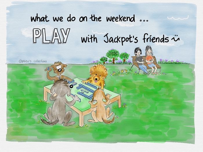 What You Do On The Weekend ....