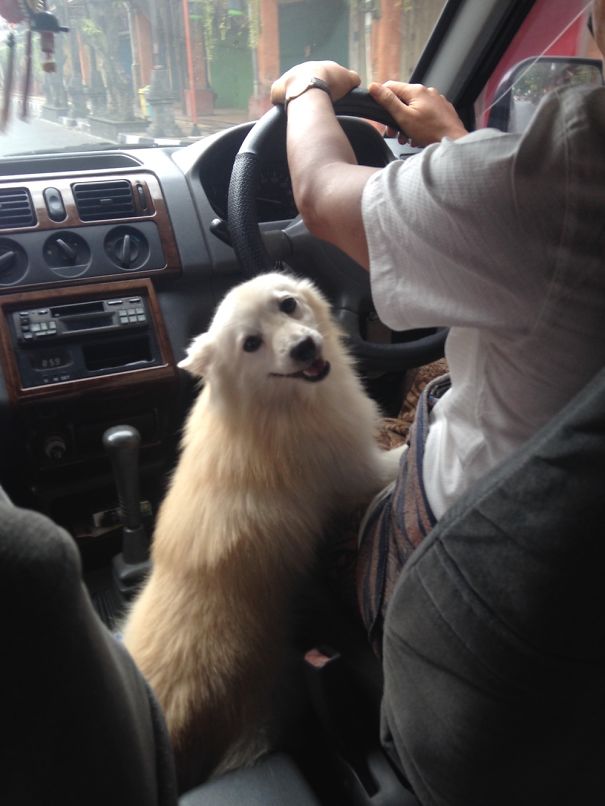 Trying To Drive