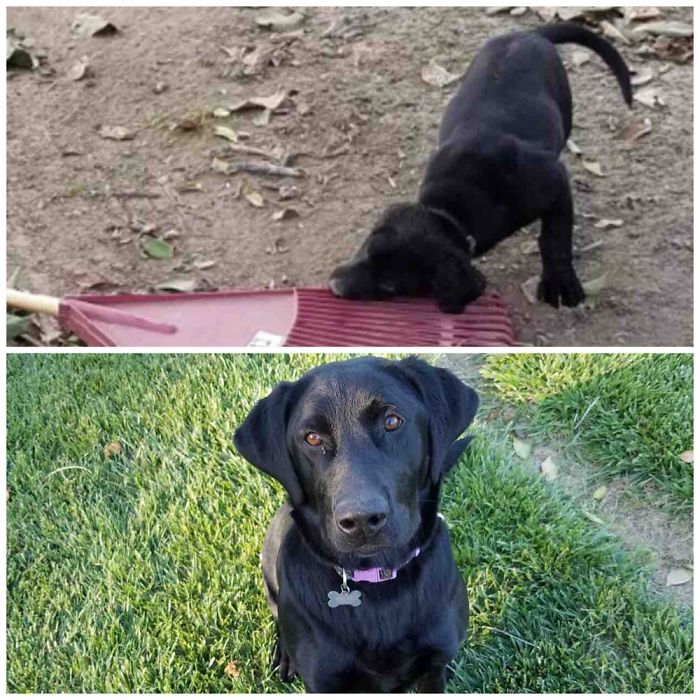 Luna At Two Months And Ten Months!