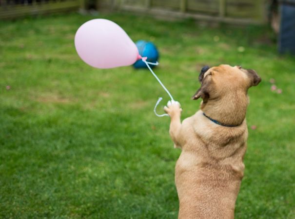 Taking My Balloon For A Walk!