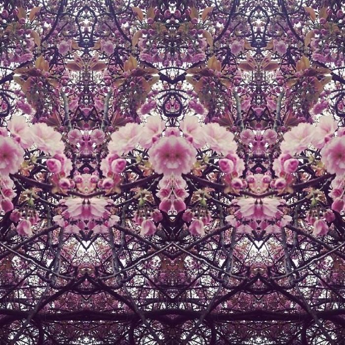 Symmetrees