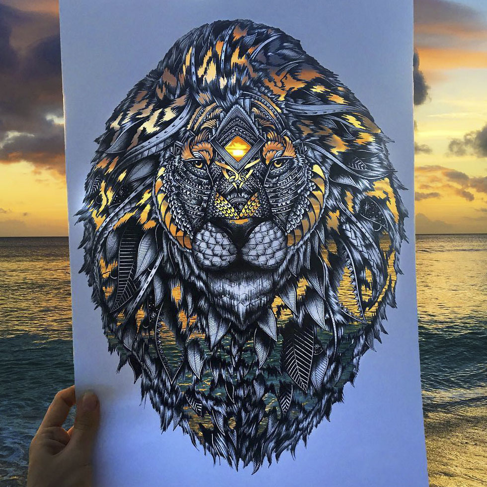 41 Incredibly Detailed Animal Drawings By Faye Halliday