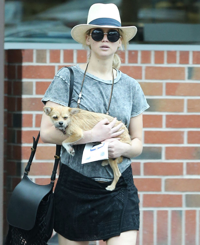 Paparazzo Touches Jennifer Lawrence's Dog, And Her Rude Reaction Sparks Heated Discussions