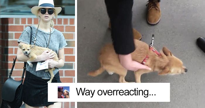Paparazzo Touches Jennifer Lawrence’s Dog, And Her Rude Reaction Sparks Heated Discussions