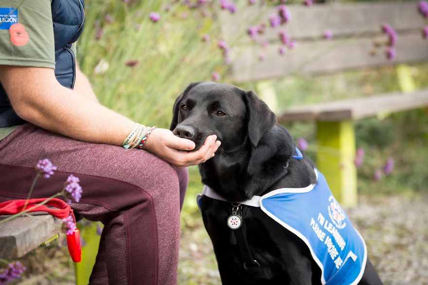 Assistance Dogs Charity Category 3rd Place Winner Julie Morrish, UK