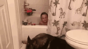 Dog Provides A Little Bath Time Help