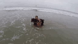 Schnauzer cuidando de mi hija en la playa de perros