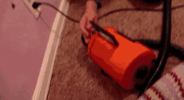 Dog Protecting Baby Human From Vacuum Cleaner